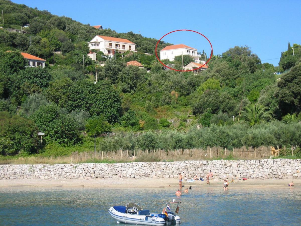Diving Apartments Molunat Dış mekan fotoğraf