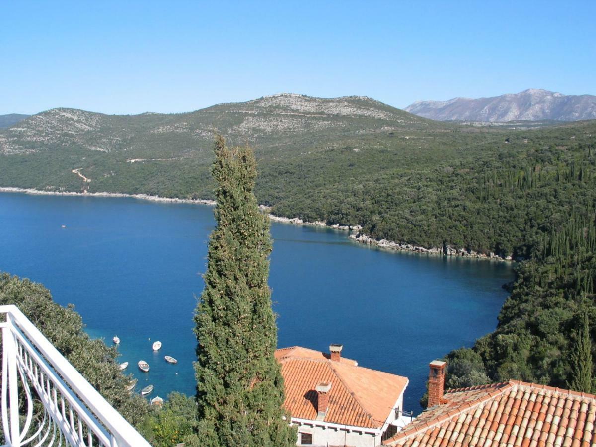 Diving Apartments Molunat Dış mekan fotoğraf