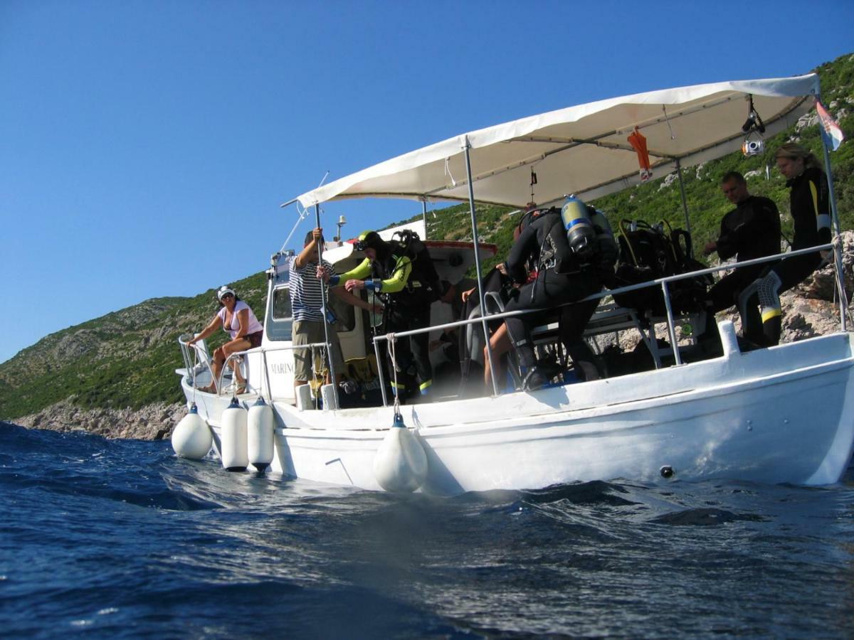 Diving Apartments Molunat Dış mekan fotoğraf