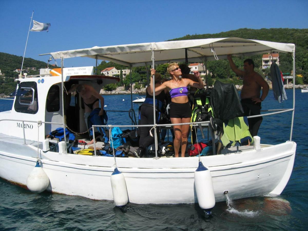 Diving Apartments Molunat Dış mekan fotoğraf